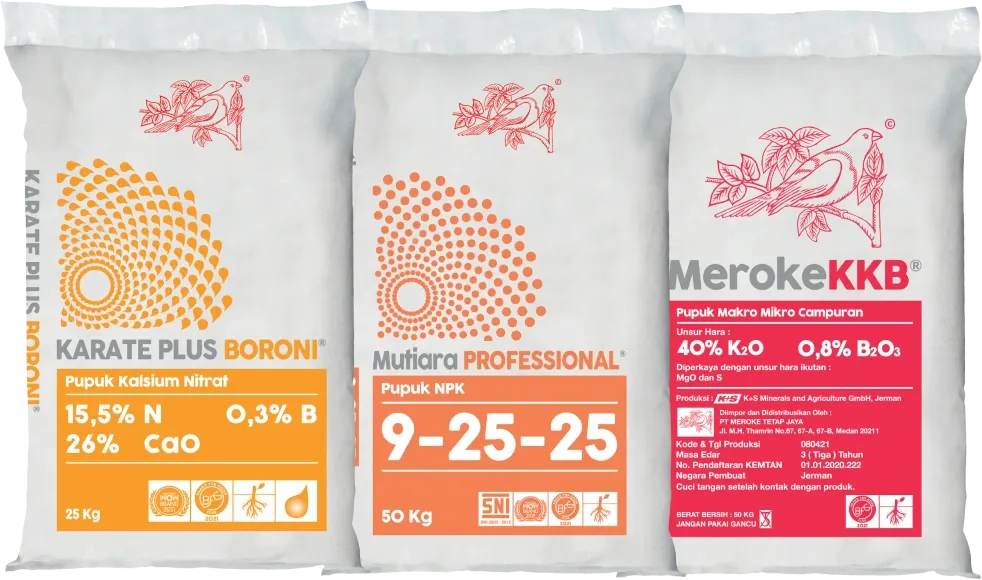 mutiara-profesional-karate-plus-boroni-meroke-kkb