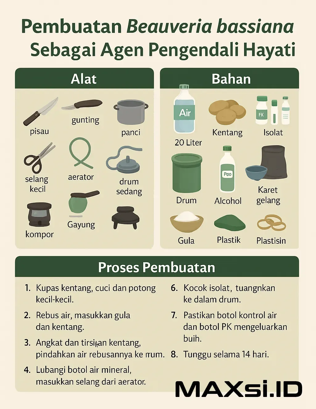 Pembuatan Beauveria bassiana